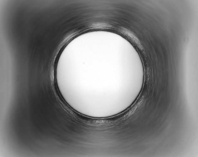 X0000099231322200804241221