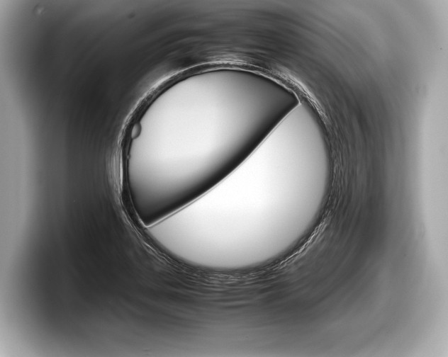 X0000099231323200804241221