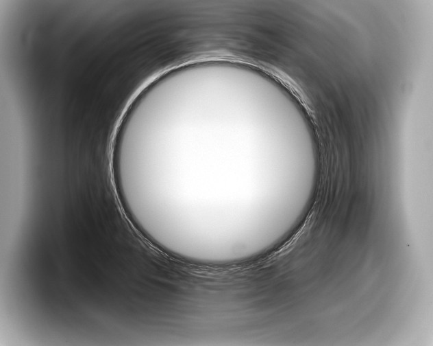X0000099231326200804241221