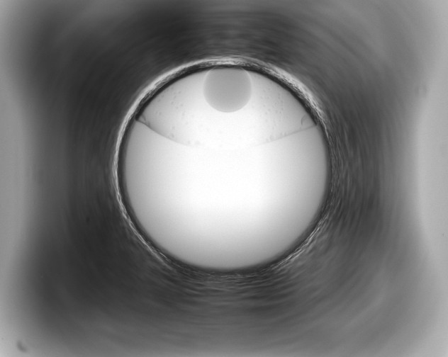 X0000099231327200804241221