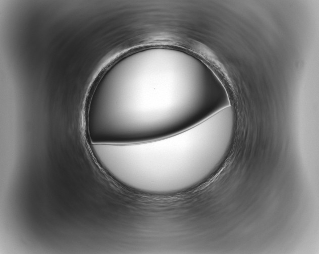 X0000099231328200804241221