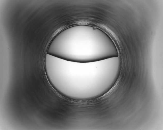 X0000099231329200804241221