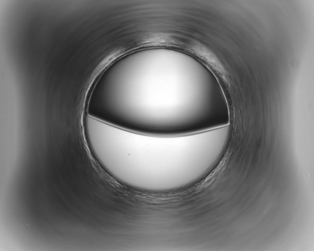 X0000099231330200804241221