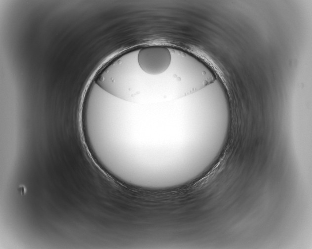X0000099231331200804241221