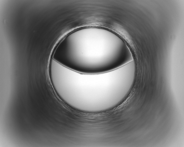 X0000099231332200804241221