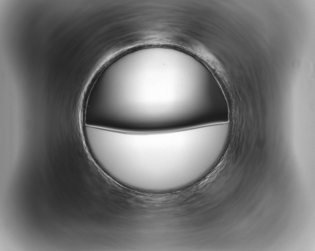 X0000099231334200804241221