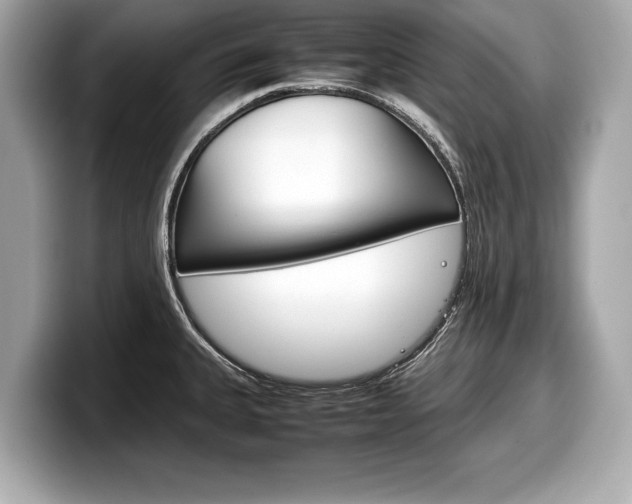 X0000099231335200804241221