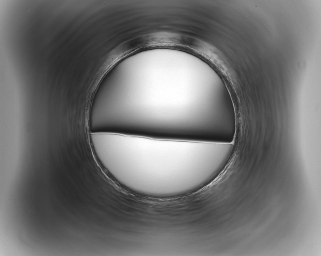 X0000099231337200804241221