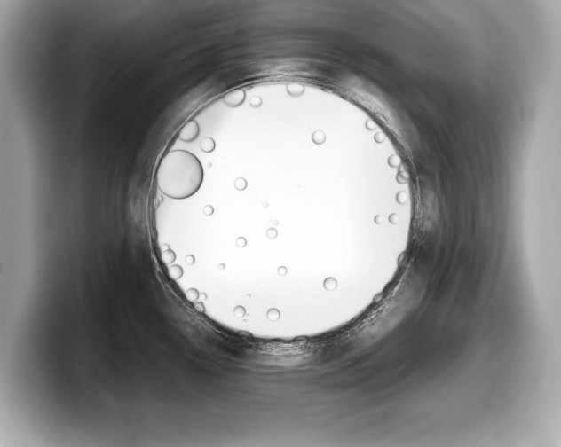 X0000099231338200804241221