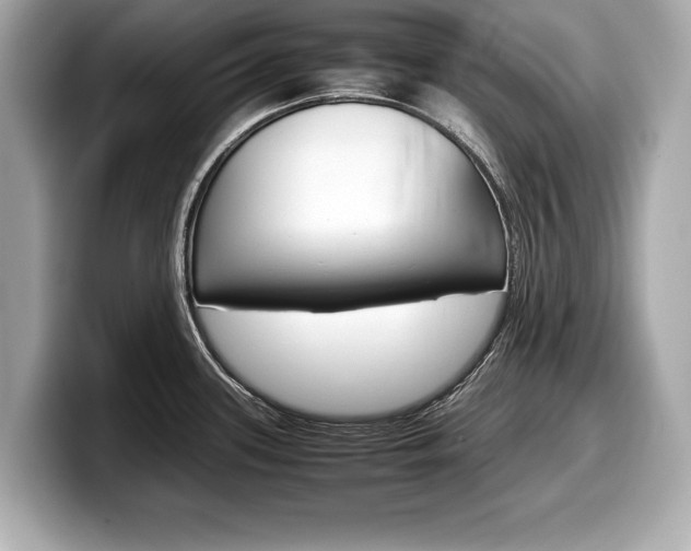 X0000099231339200804241221