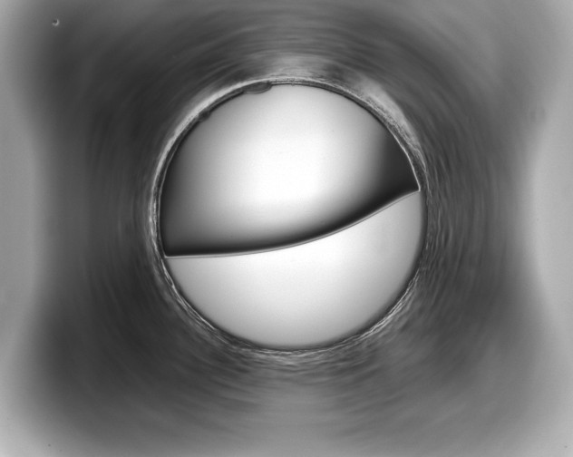 X0000099231340200804241221