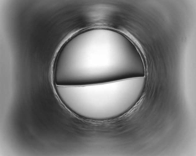 X0000099231341200804241221