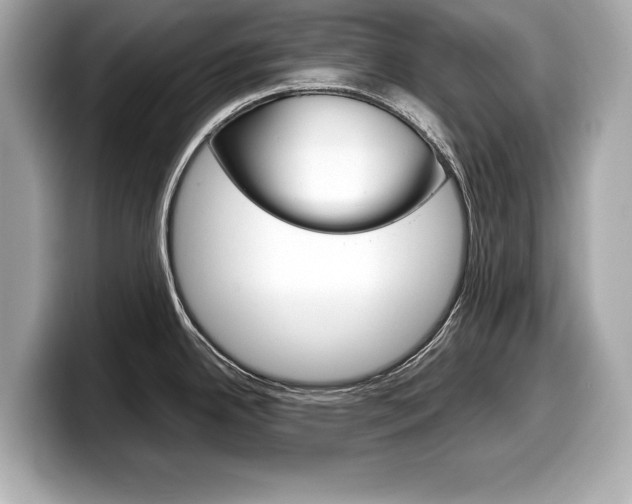 X0000099231342200804241221