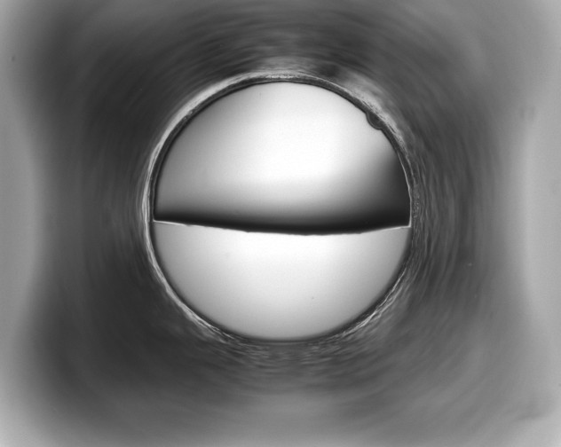 X0000099231343200804241221