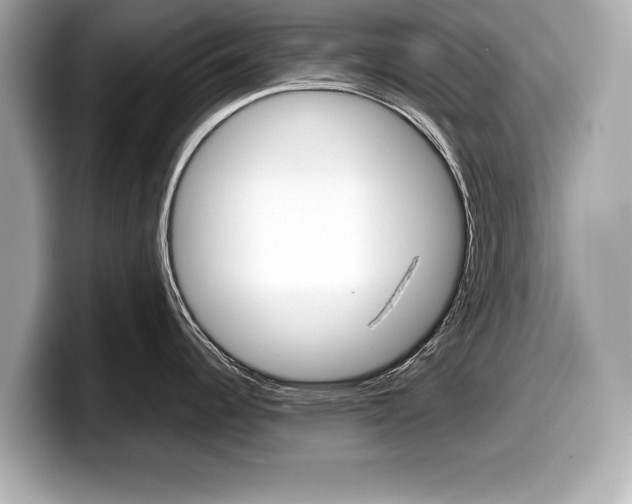 X0000099231344200804241221