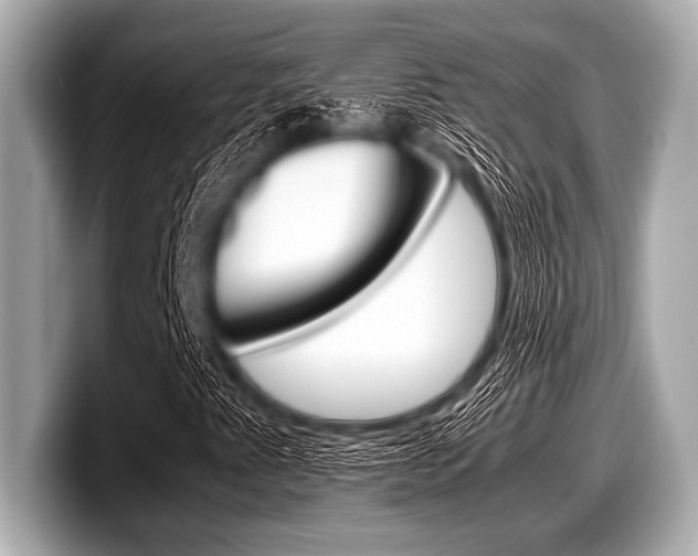 X0000099231345200804241221