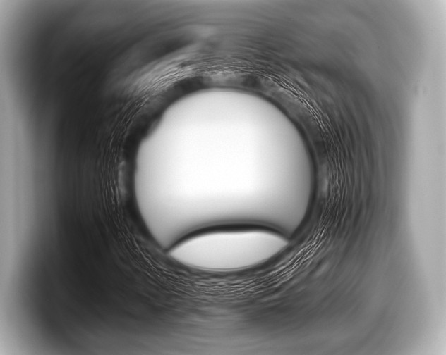 X0000099231346200804241221