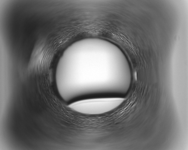 X0000099231347200804241221