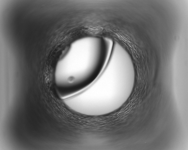 X0000099231349200804241221