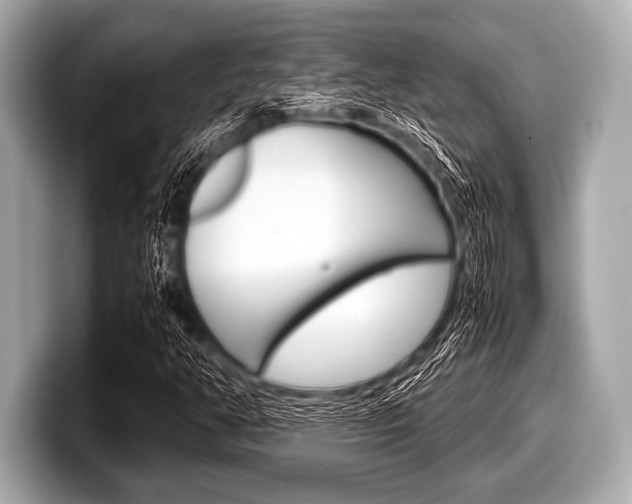 X0000099231350200804241221