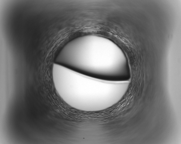 X0000099231351200804241221