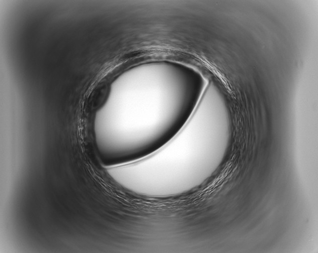 X0000099231352200804241221