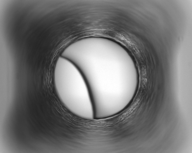 X0000099231354200804241220