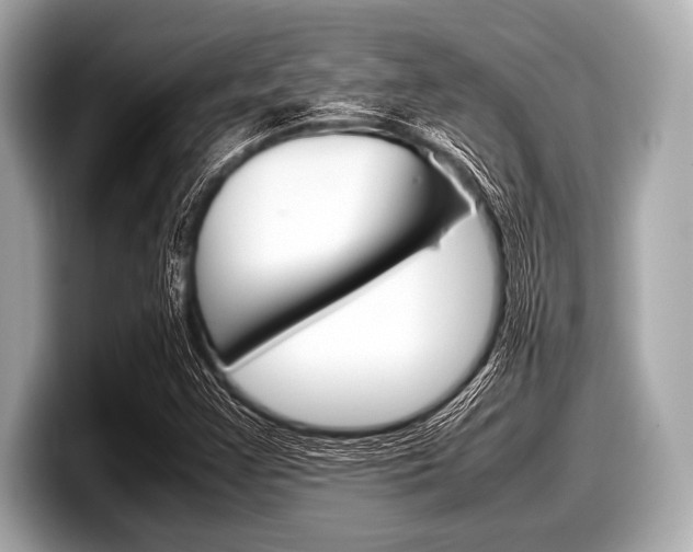 X0000099231355200804241220