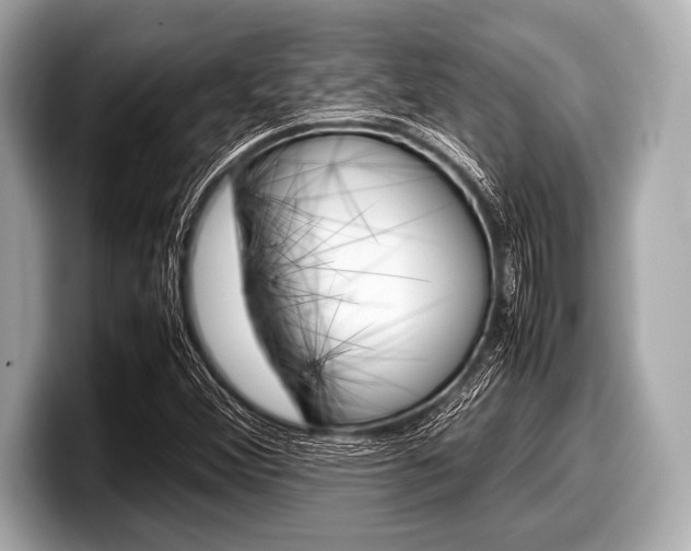 X0000099231356200804241220