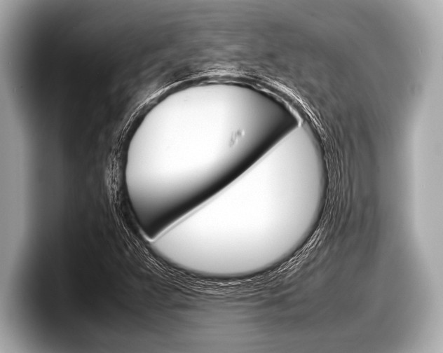 X0000099231359200804241220
