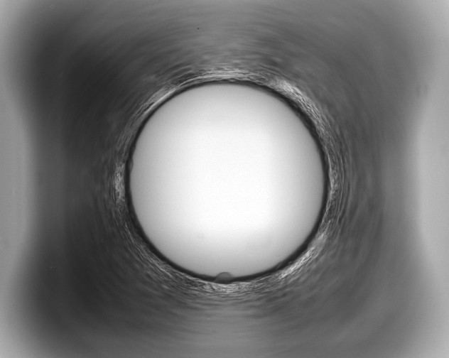 X0000099231361200804241220