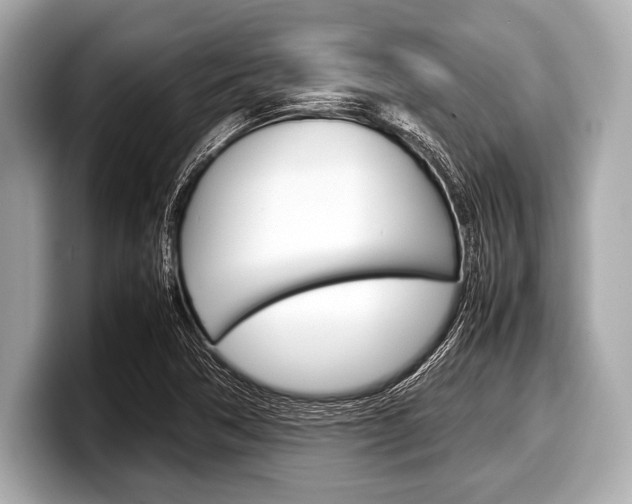X0000099231362200804241220
