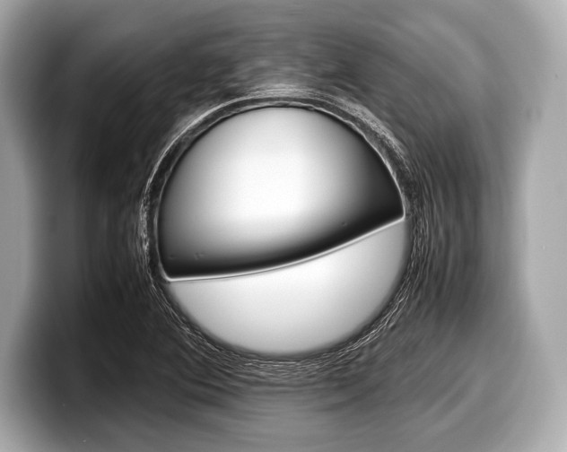 X0000099231364200804241220
