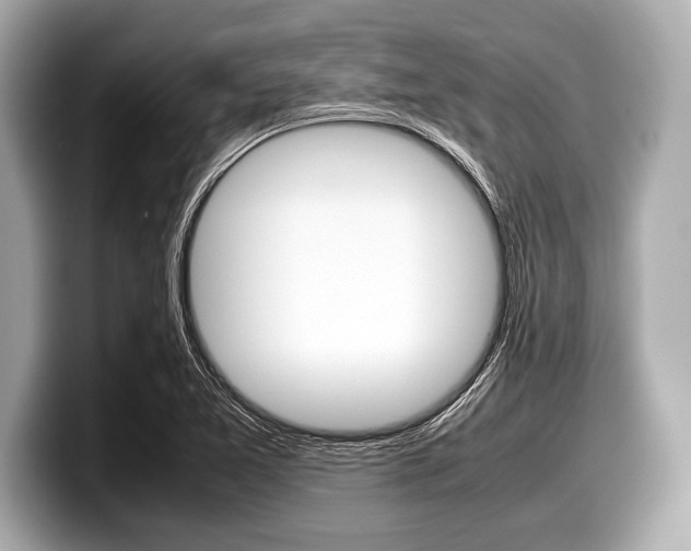 X0000099231365200804241220