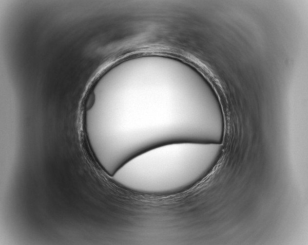 X0000099231366200804241220
