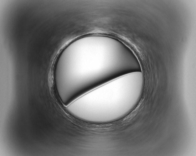 X0000099231367200804241220