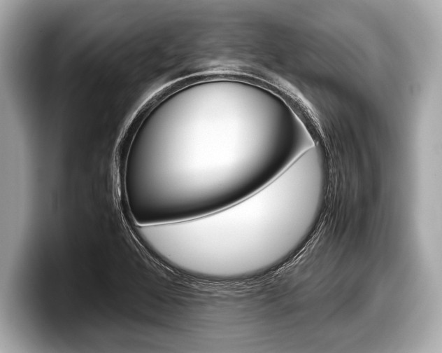 X0000099231368200804241220