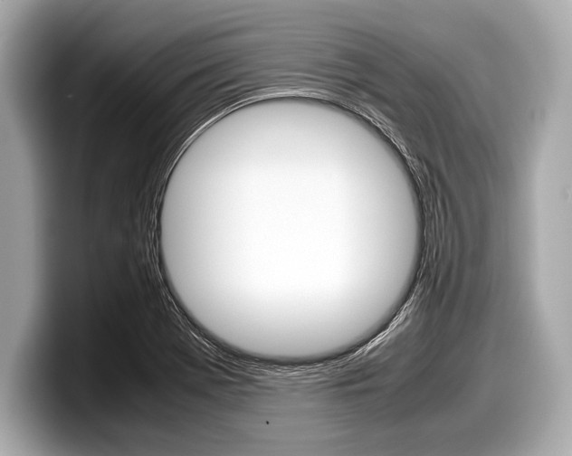 X0000099231369200804241220