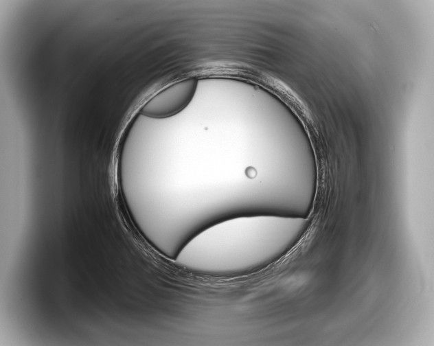 X0000099231370200804241220