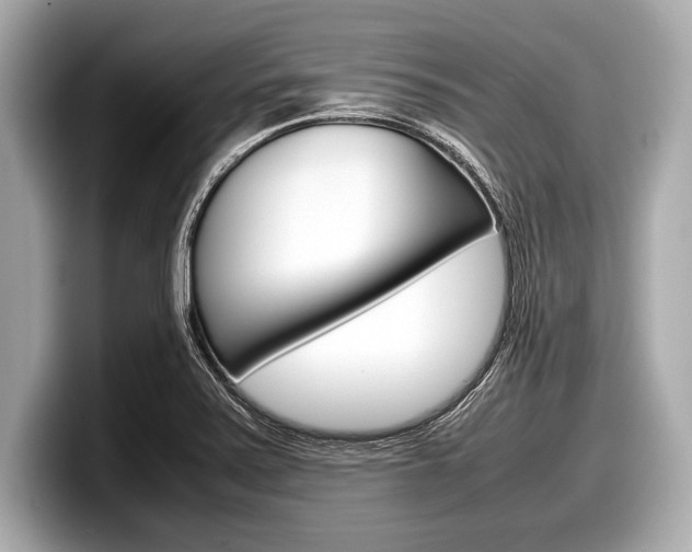 X0000099231371200804241220