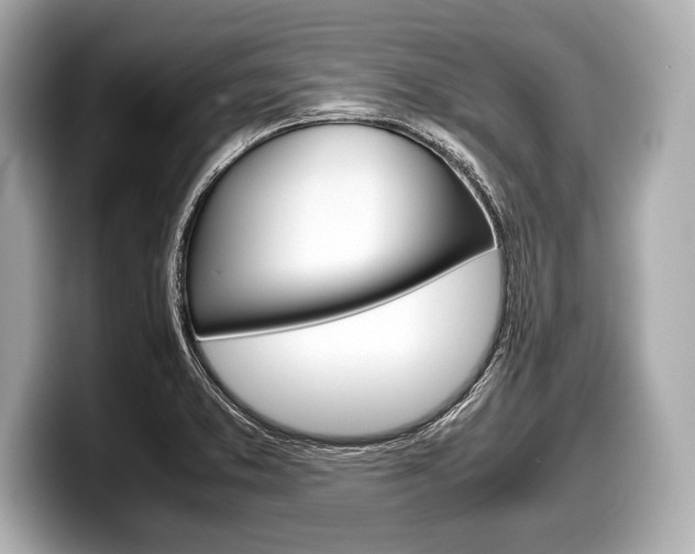 X0000099231373200804241220