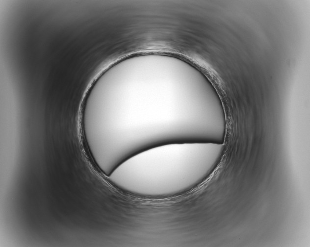 X0000099231374200804241220