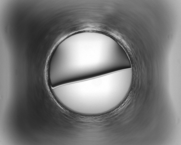 X0000099231375200804241220