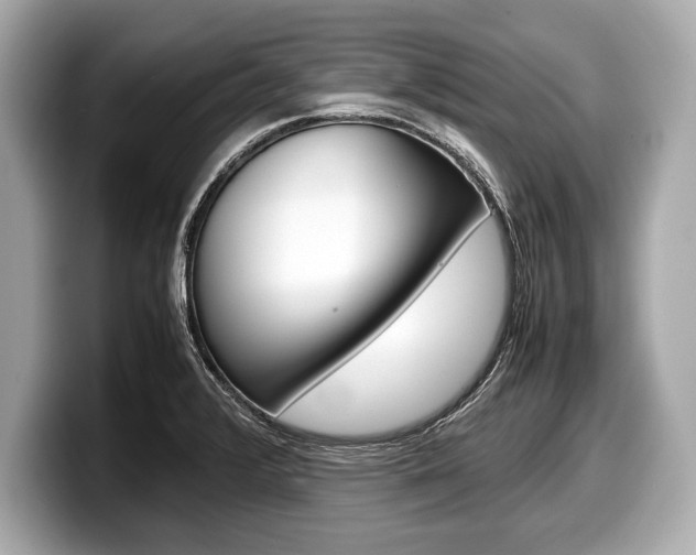 X0000099231376200804241220