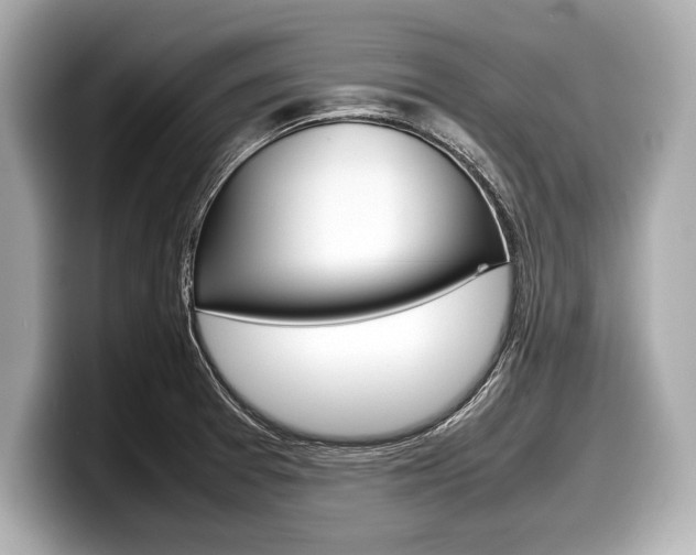 X0000099231377200804241220