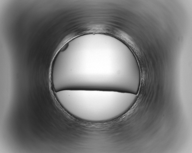 X0000099231378200804241220