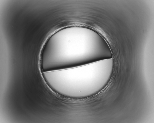 X0000099231379200804241220
