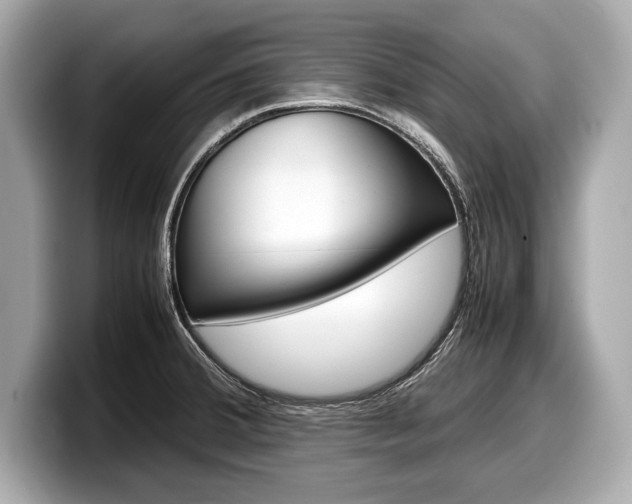 X0000099231380200804241220