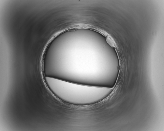 X0000099231381200804241220