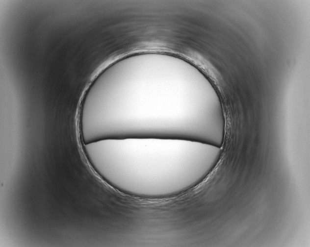 X0000099231382200804241220